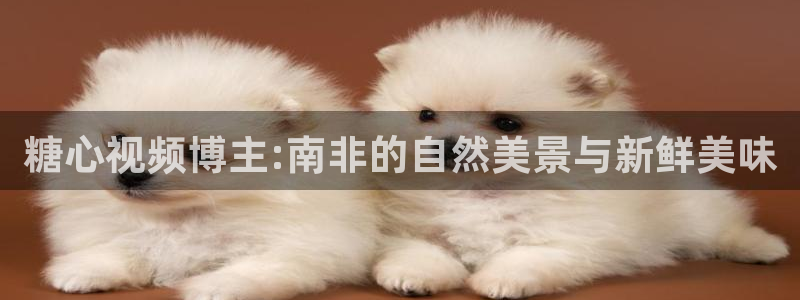 成人糖心vlog苹果:糖心视频博主:南非