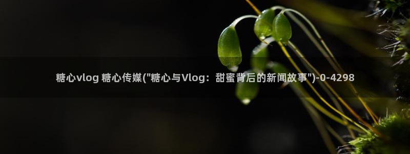 糖心VLOG派大星:糖心vlog 糖心传