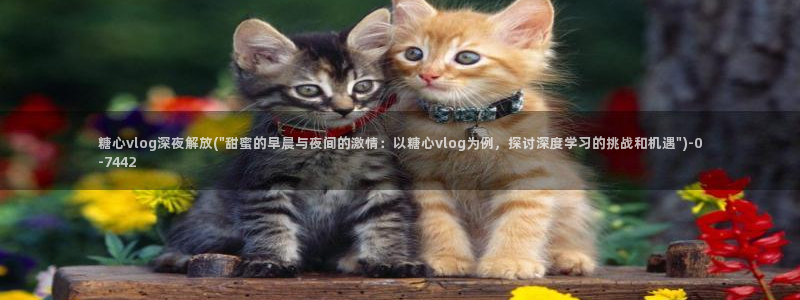 糖心视频vlog:糖心vlog深夜解放(